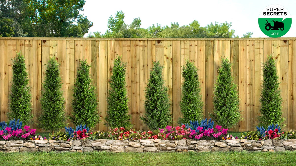 A lush lawn with trees and flowers